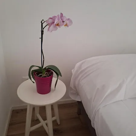 Cinque Terre Luxury Apartman
