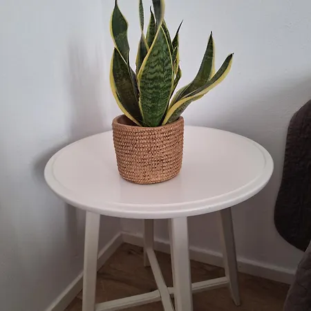 Urban Chic, Terre Marine